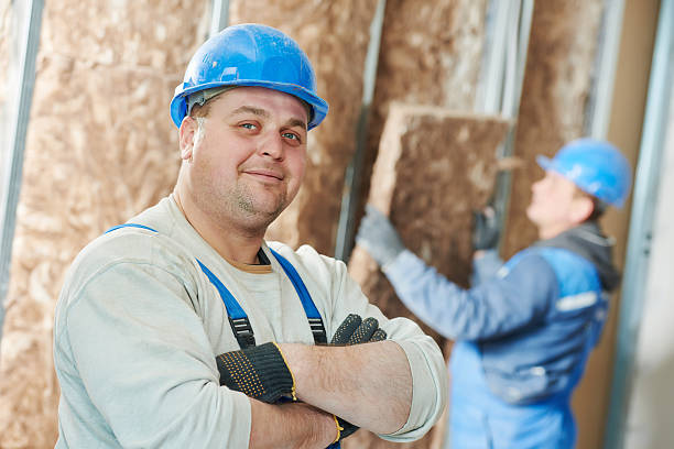 Insulation Replacement Services in Haines City, FL