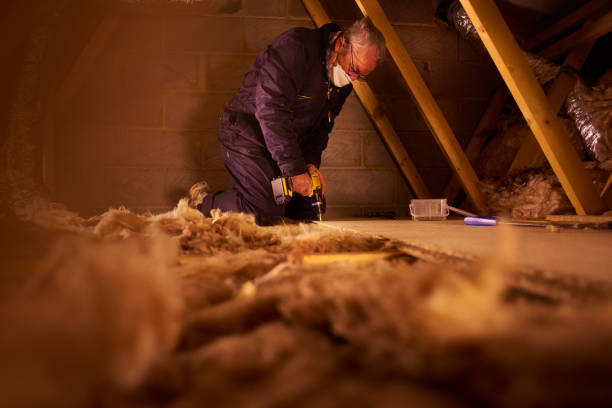 Best Insulation Contractors for Homes  in Haines City, FL