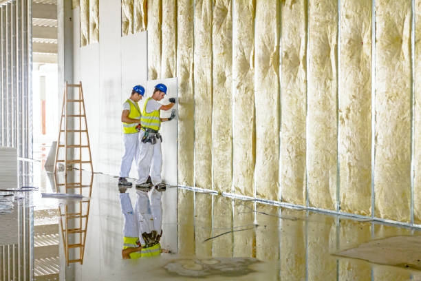 Best Insulation Inspection Services  in Haines City, FL